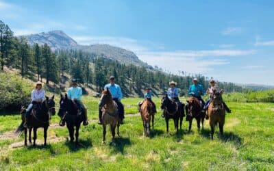 Building a Business while Raising a Family with Ryan & Jamie Smith